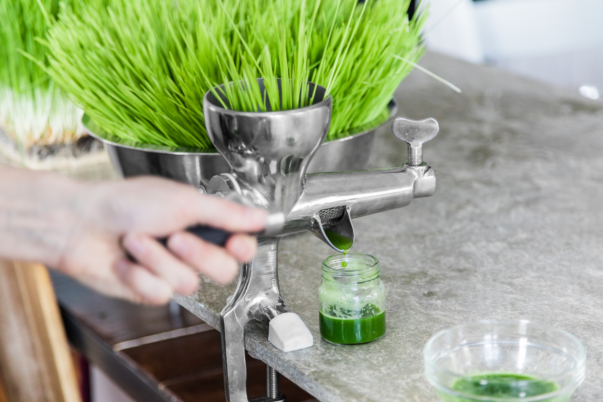 Wheatgrass juicer